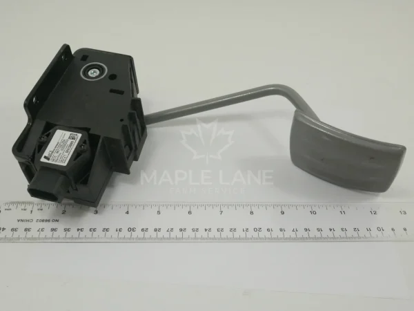 52833198 Accelerator Pedal