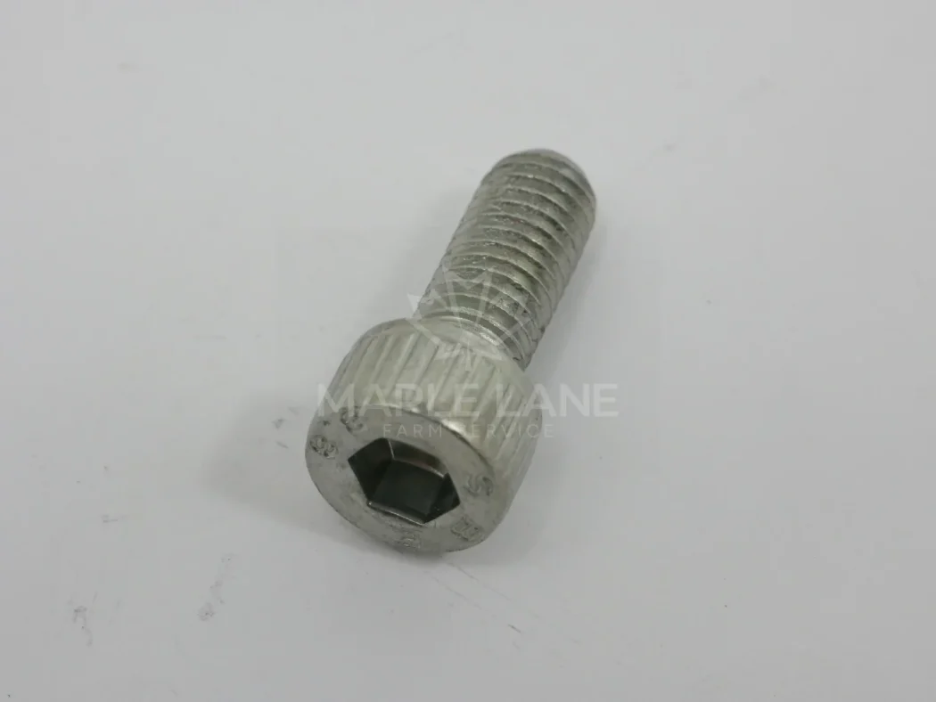 73208 Socket Hex Bolt