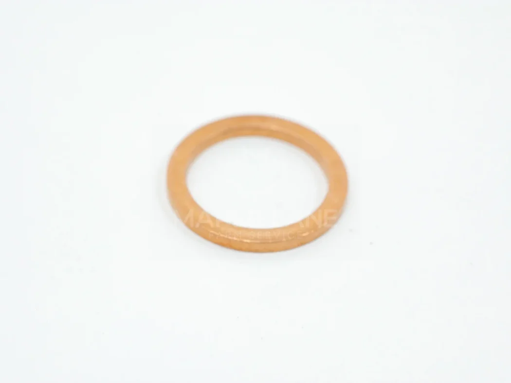 3007188X1 Seal Ring