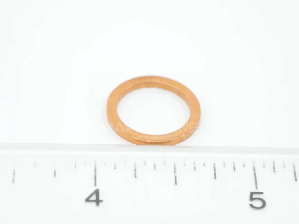 3007188X1 Seal Ring