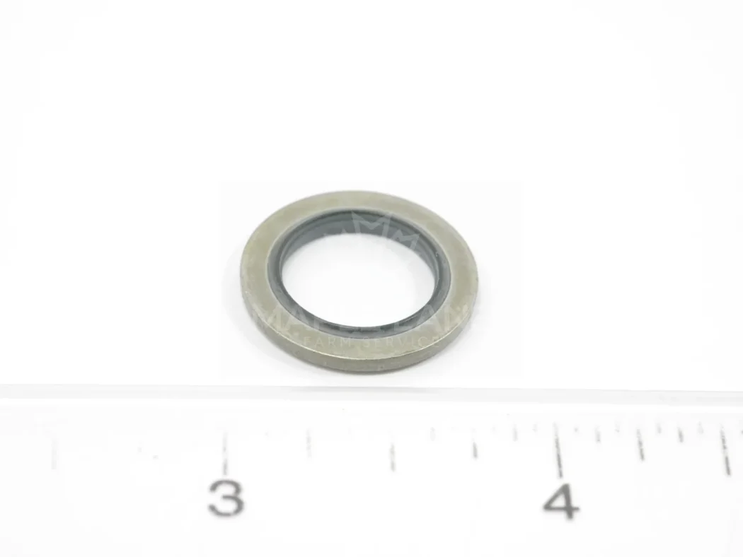 3010919X1 Seal