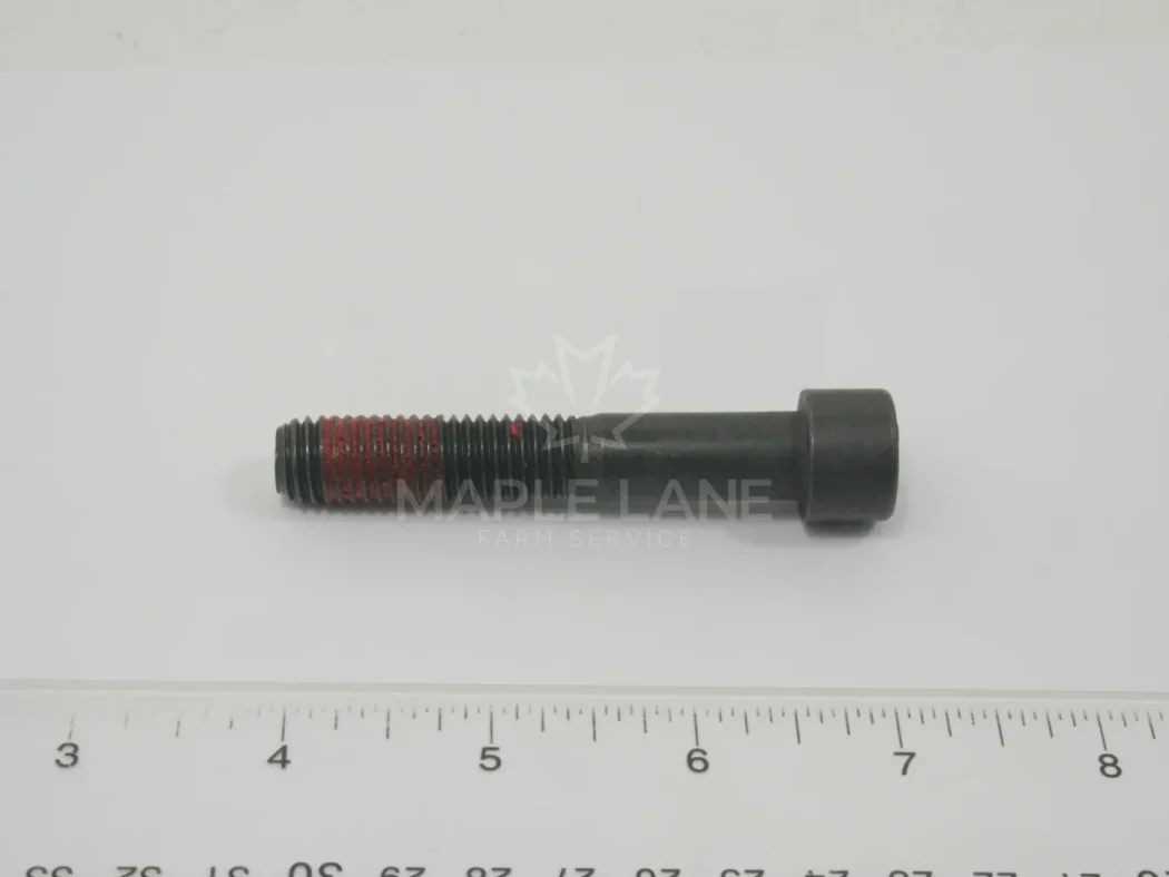 3016579X1 Screw