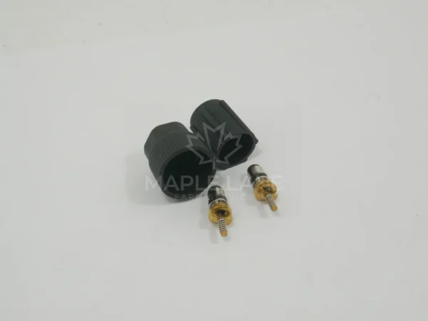 3904347M91 Valve Kit
