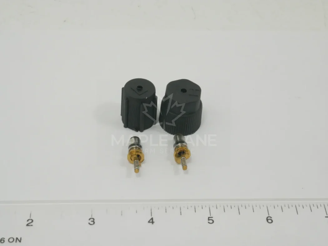 3904347M91 Valve Kit