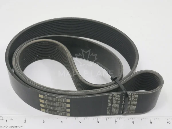 71444986 Belt