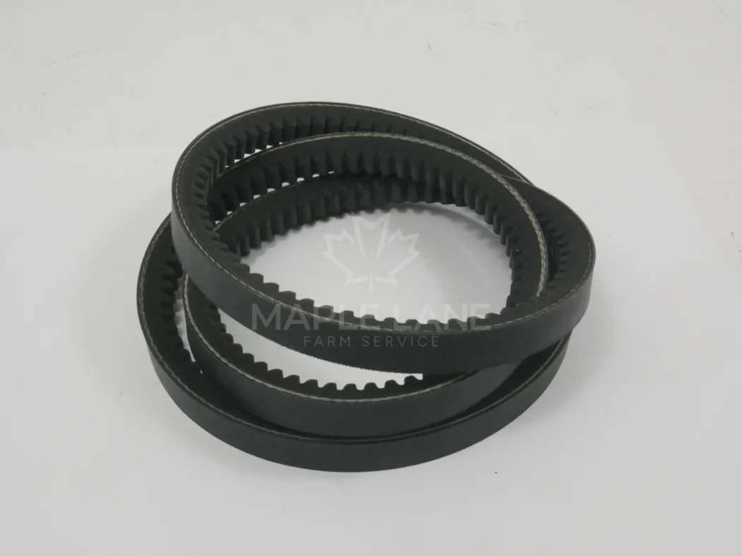 72431819 V-Belt