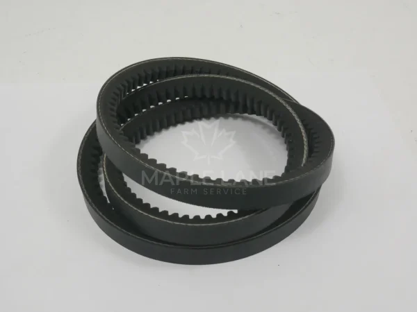 72431819 V-Belt