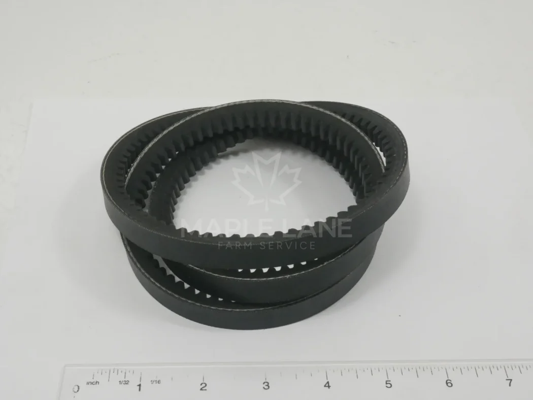 72431819 V-Belt