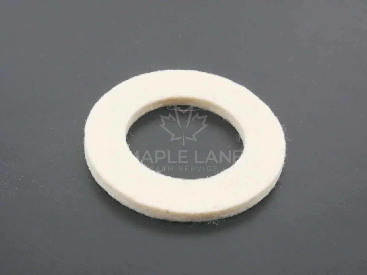 828852M1 Washer