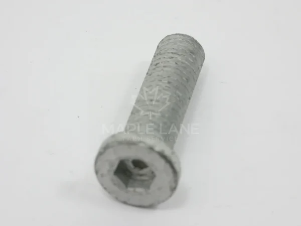 ACX3652470 Socket H Bolt