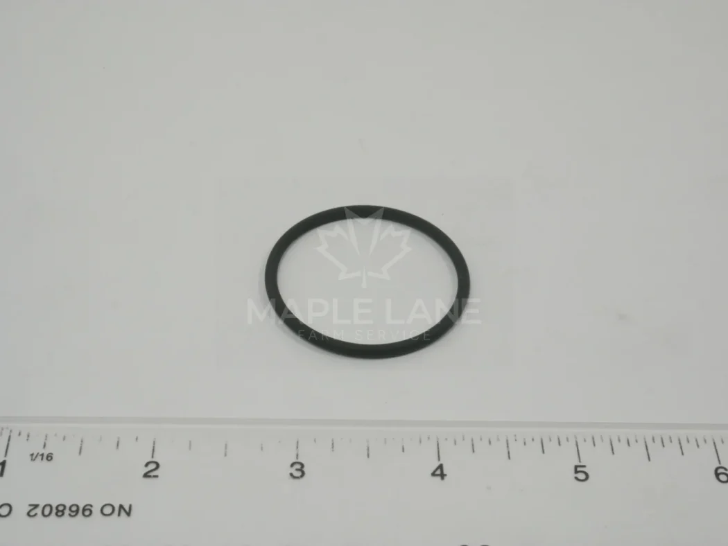 V614903725 O-Ring