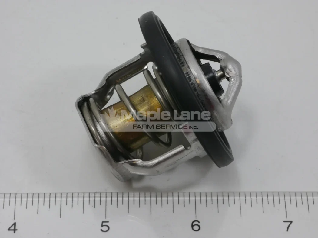 52823883 Thermostat
