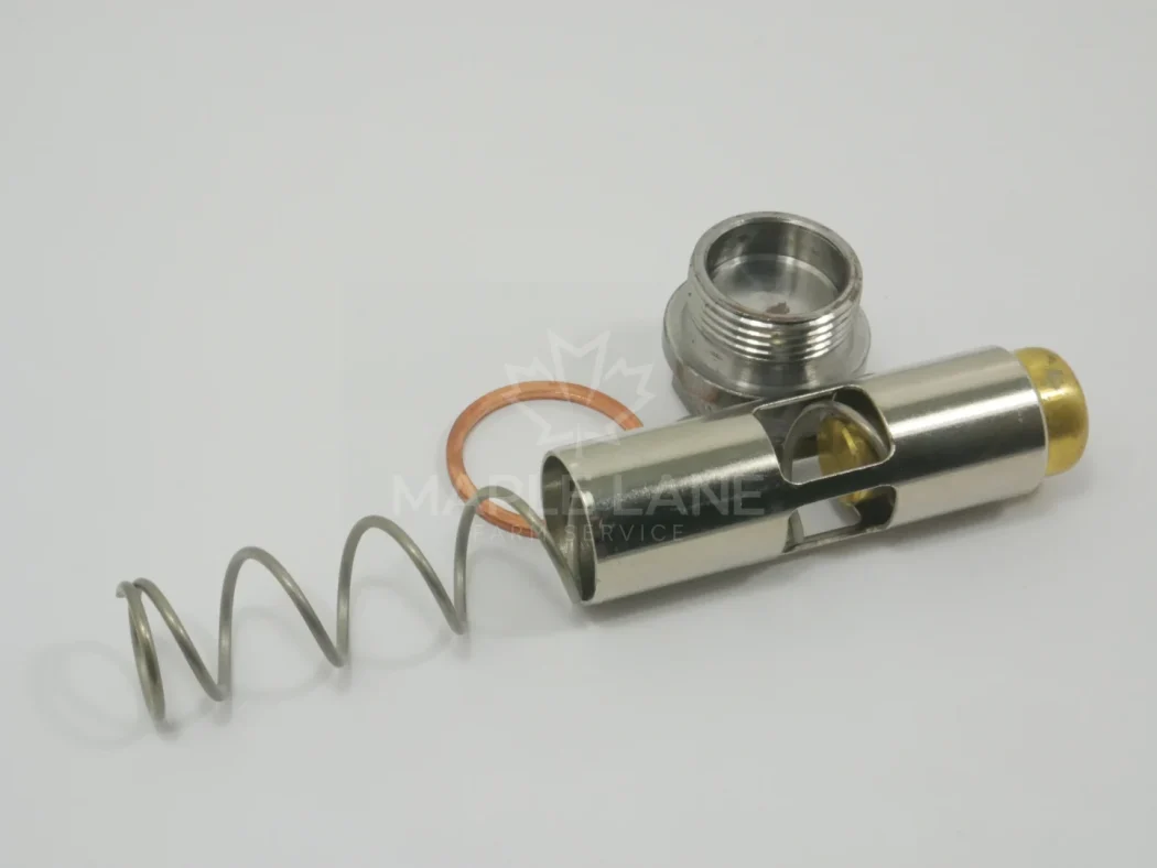 N245295 Thermostat Kit