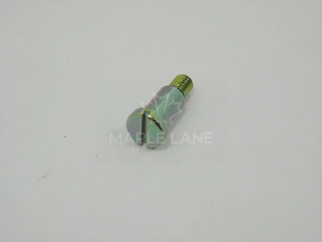 3052317M1 Bolt