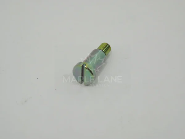 3052317M1 Bolt