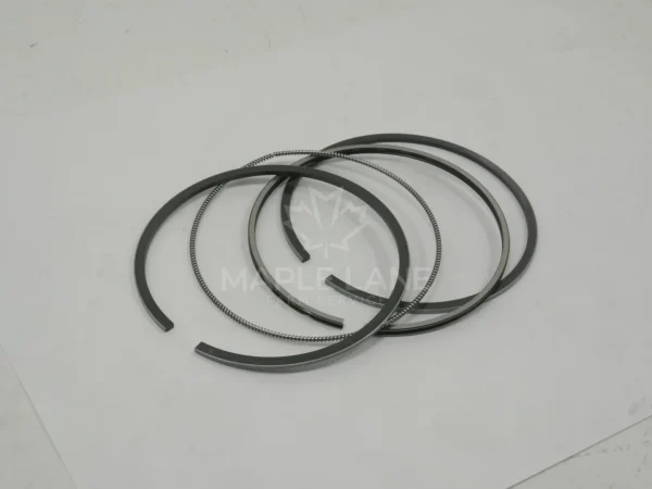 6242067M4 Piston Ring