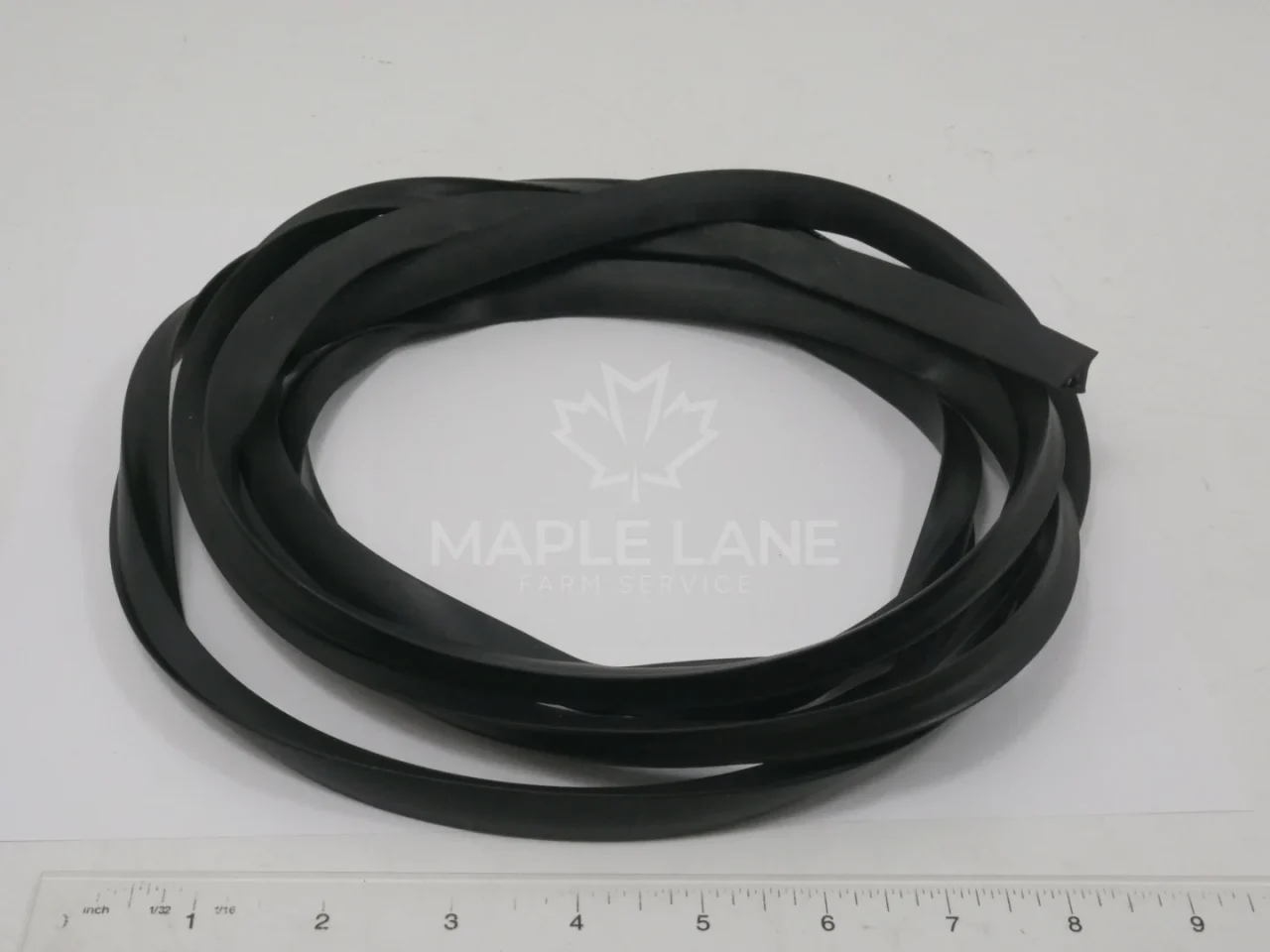 72616265 Seal