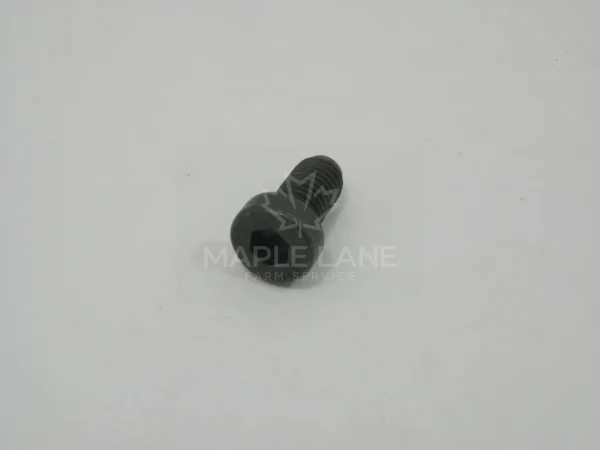V31954300 Bolt