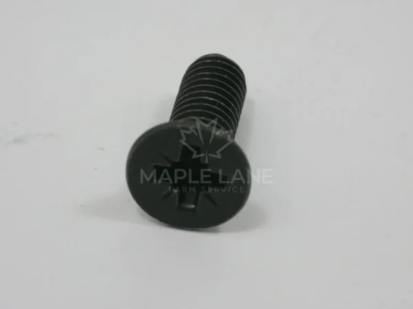 VHE6963 Screw