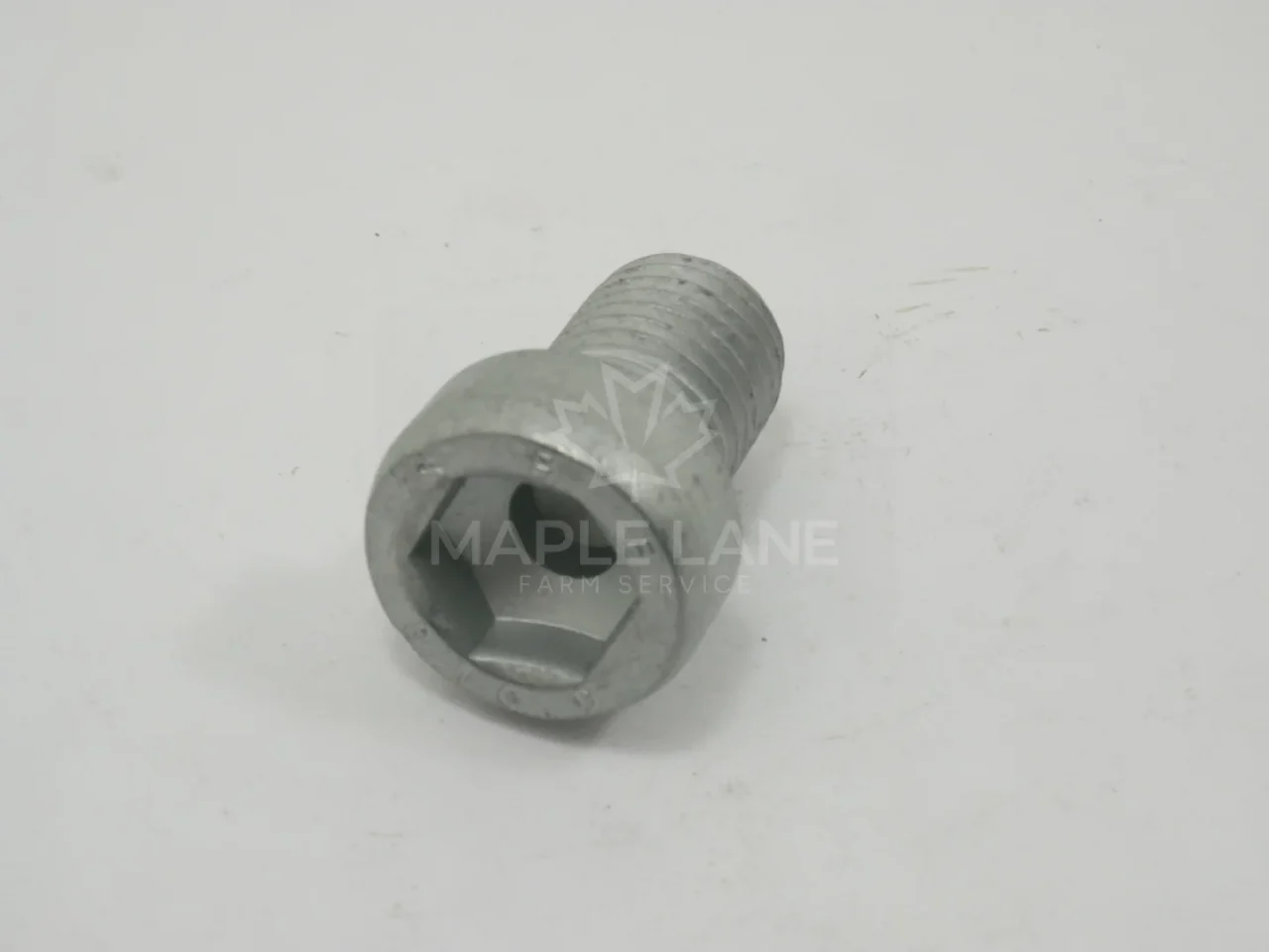 171267 Bolt
