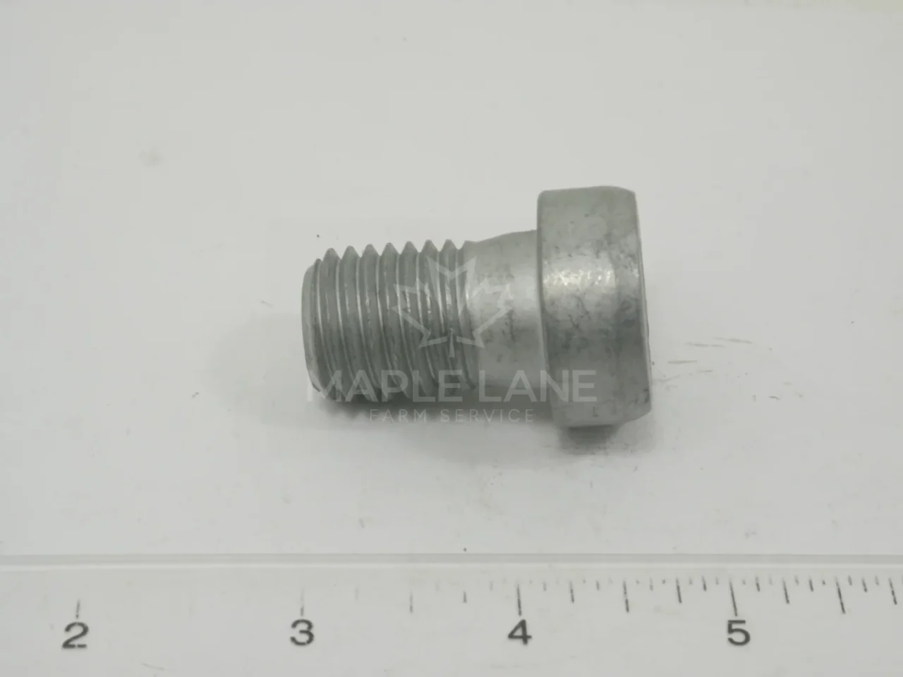 171267 Bolt