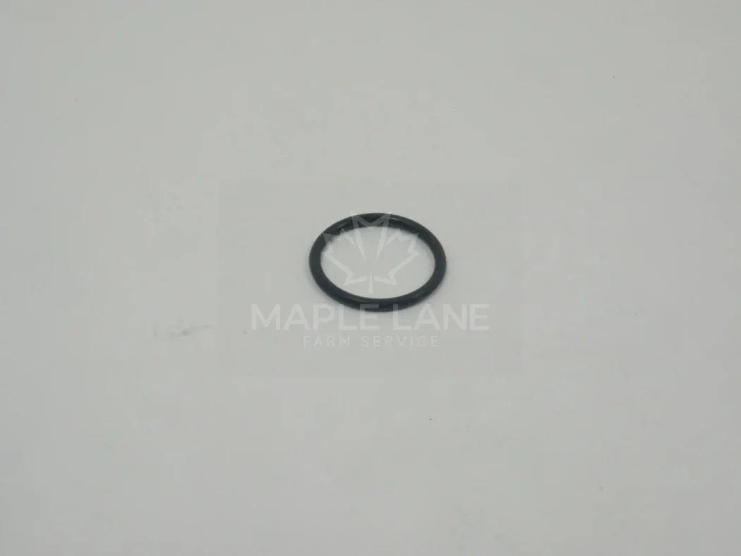 749407 O-Ring