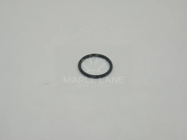 749407 O-Ring