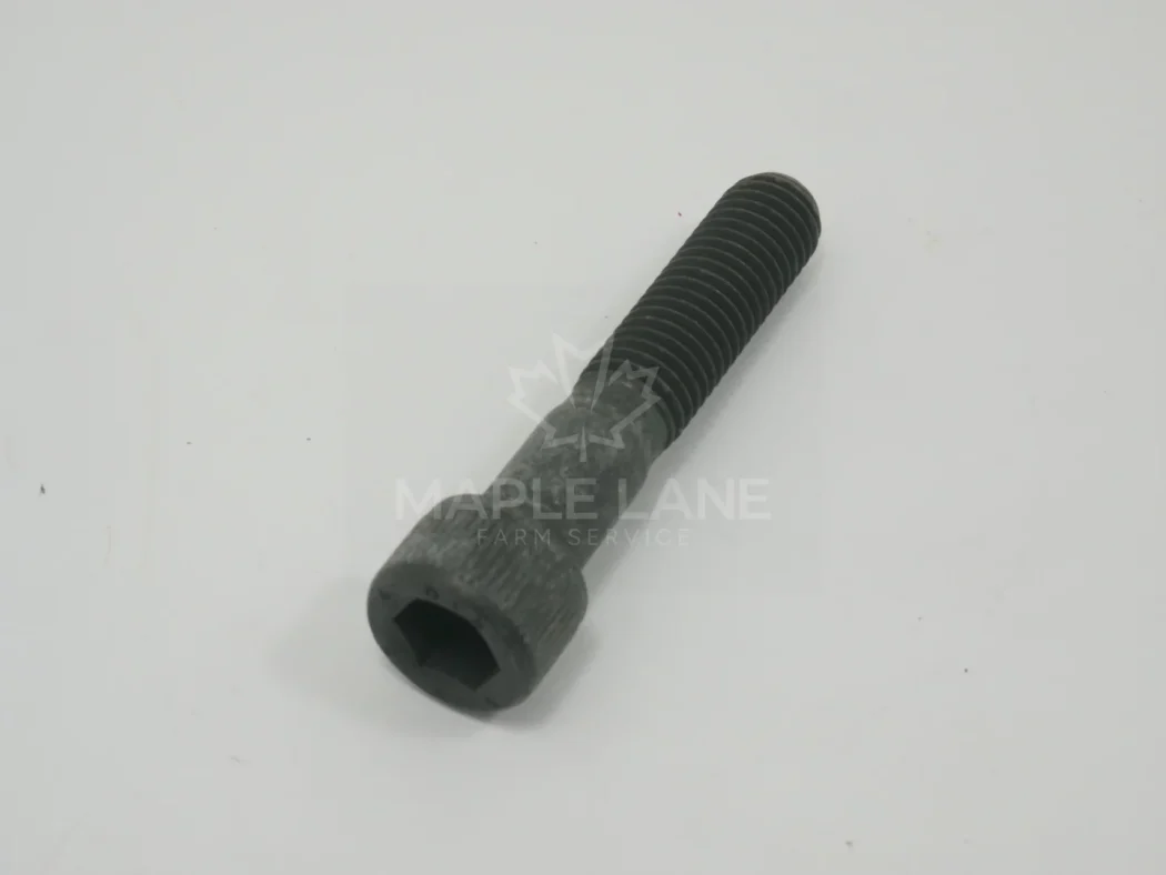 3010625X1 Screw