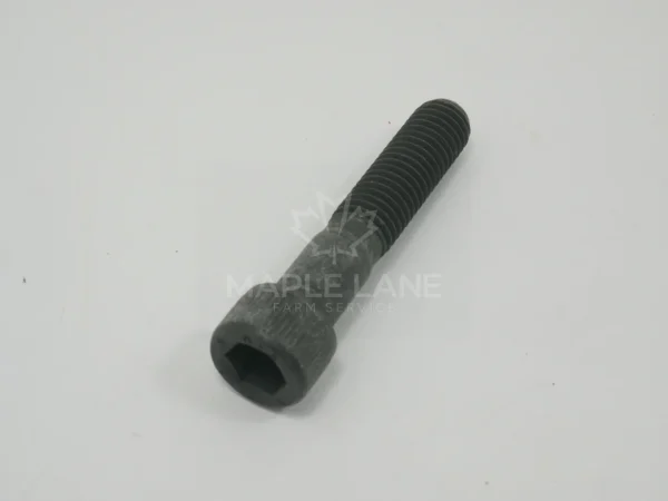 3010625X1 Screw