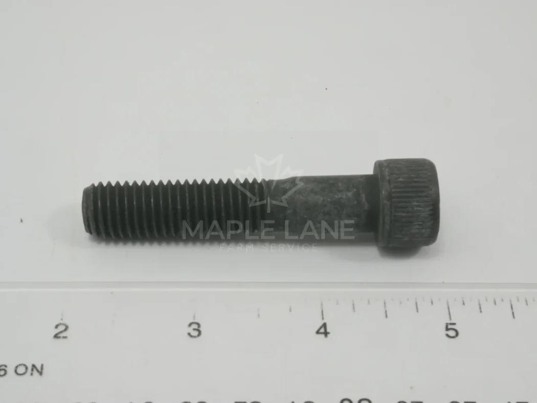3010625X1 Screw