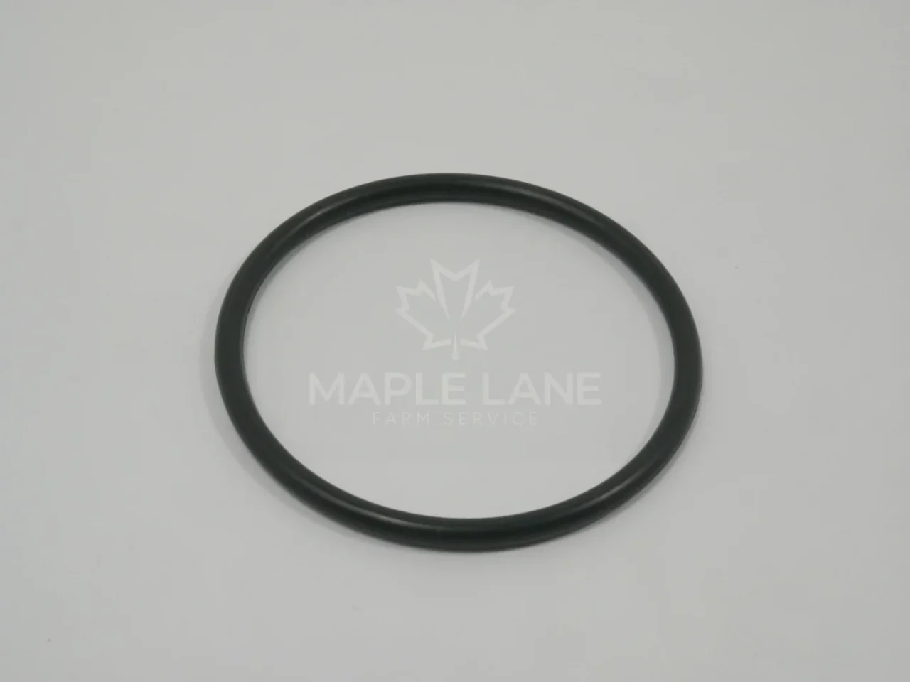 70269964 O-Ring