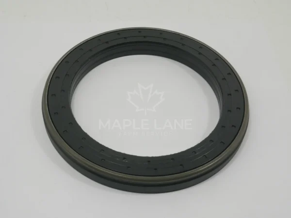 72437304 Ring Seal