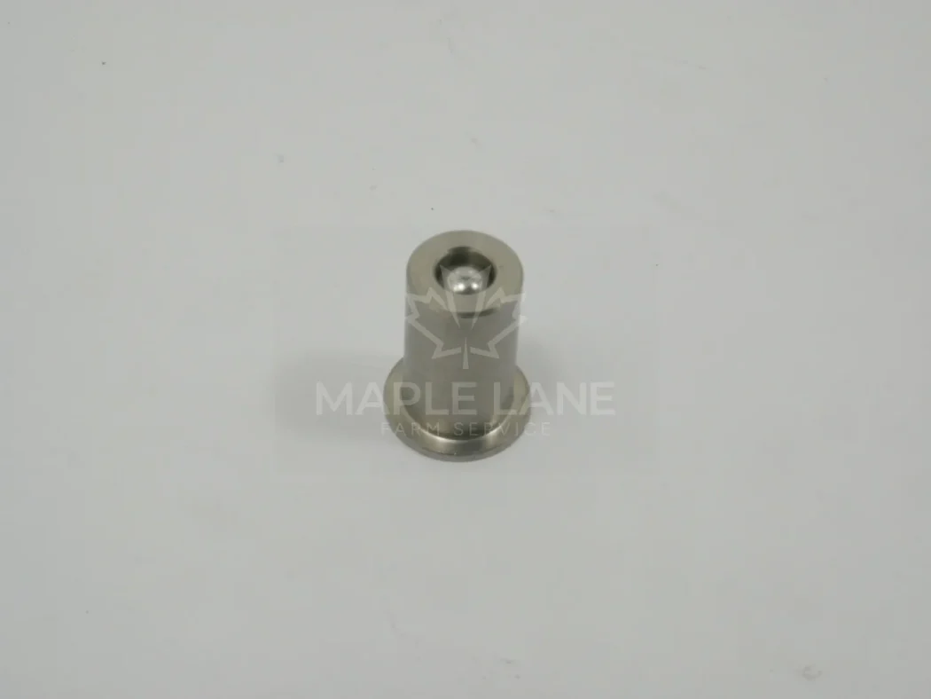 AG001917 Check Valve