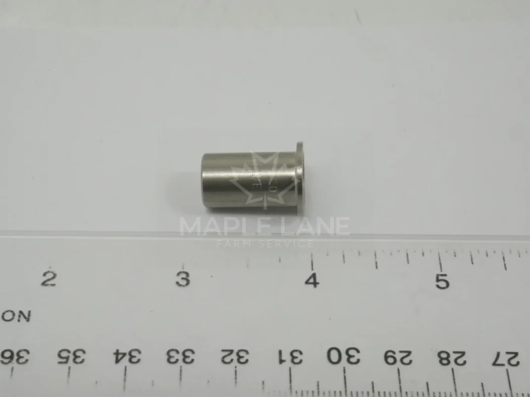 AG001917 Check Valve
