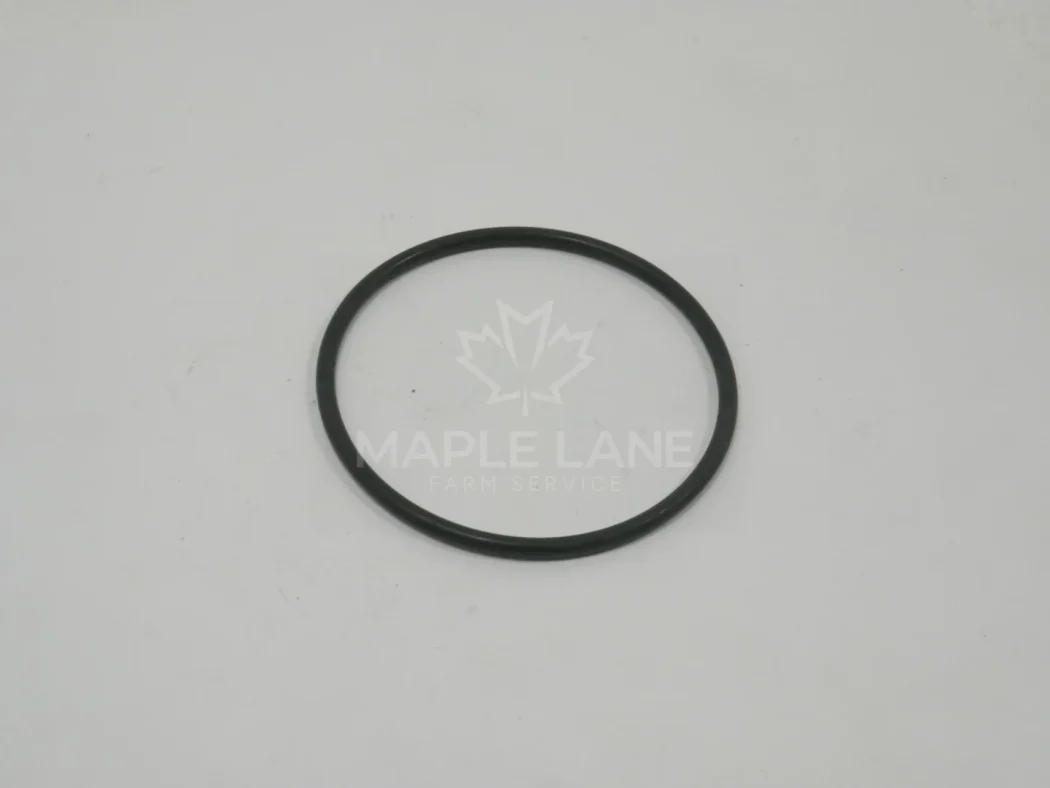 N105393 O-Ring