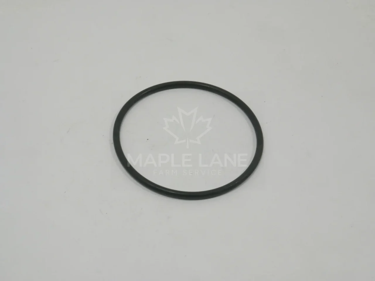N105393 Injection Pump O-Ring