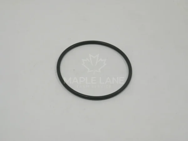 N105393 O-Ring