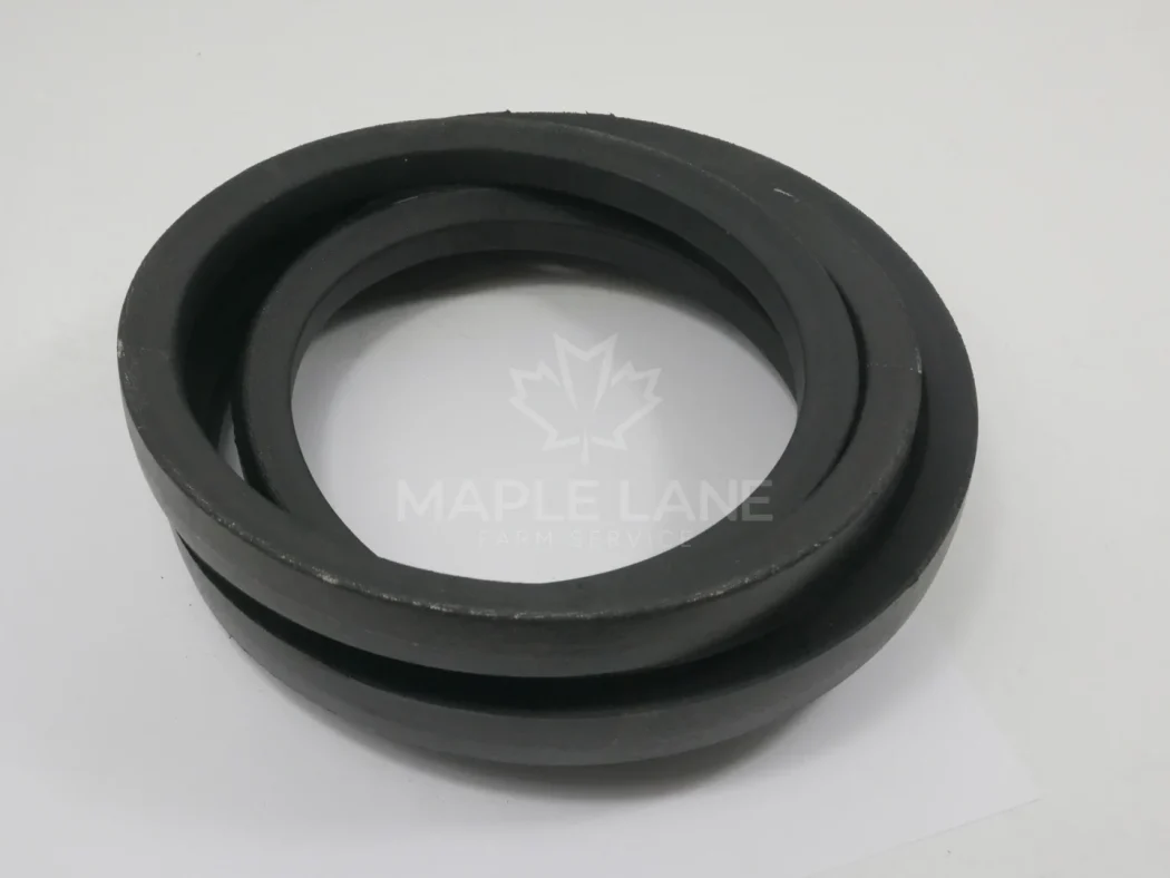 227455M1 Belt