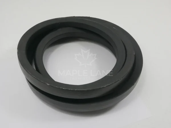 227455M1 Belt