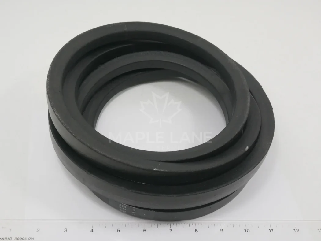 227455M1 Belt