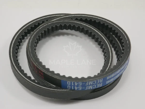 6258696M1 Belt