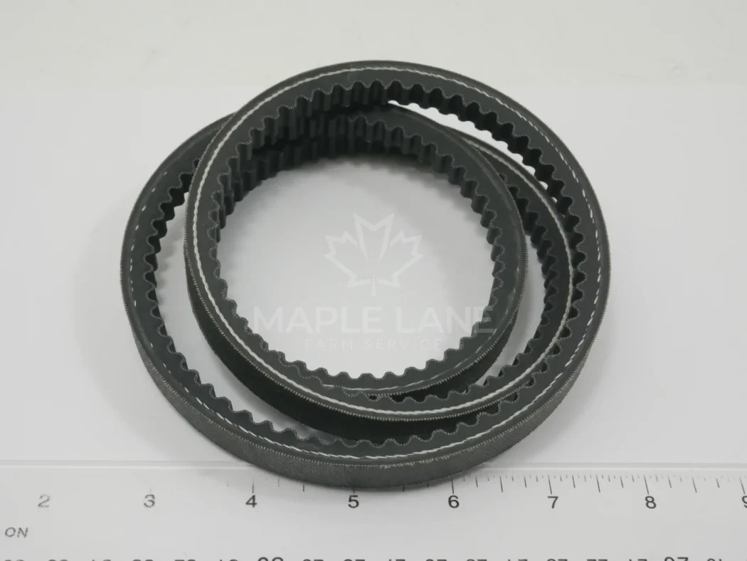 6258696M1 Belt
