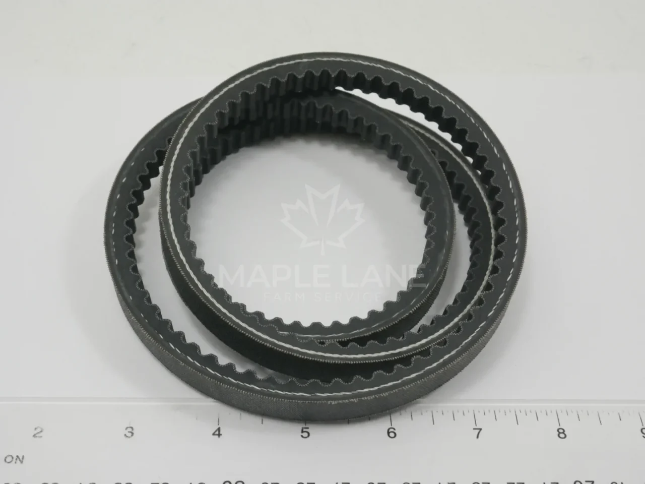 6258696M1 Belt