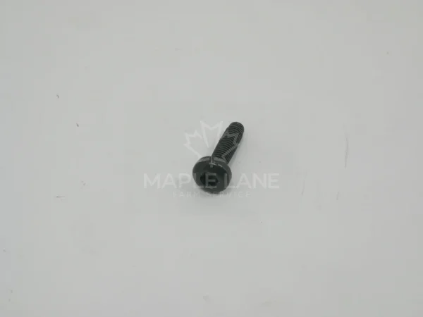 72492123 Screw