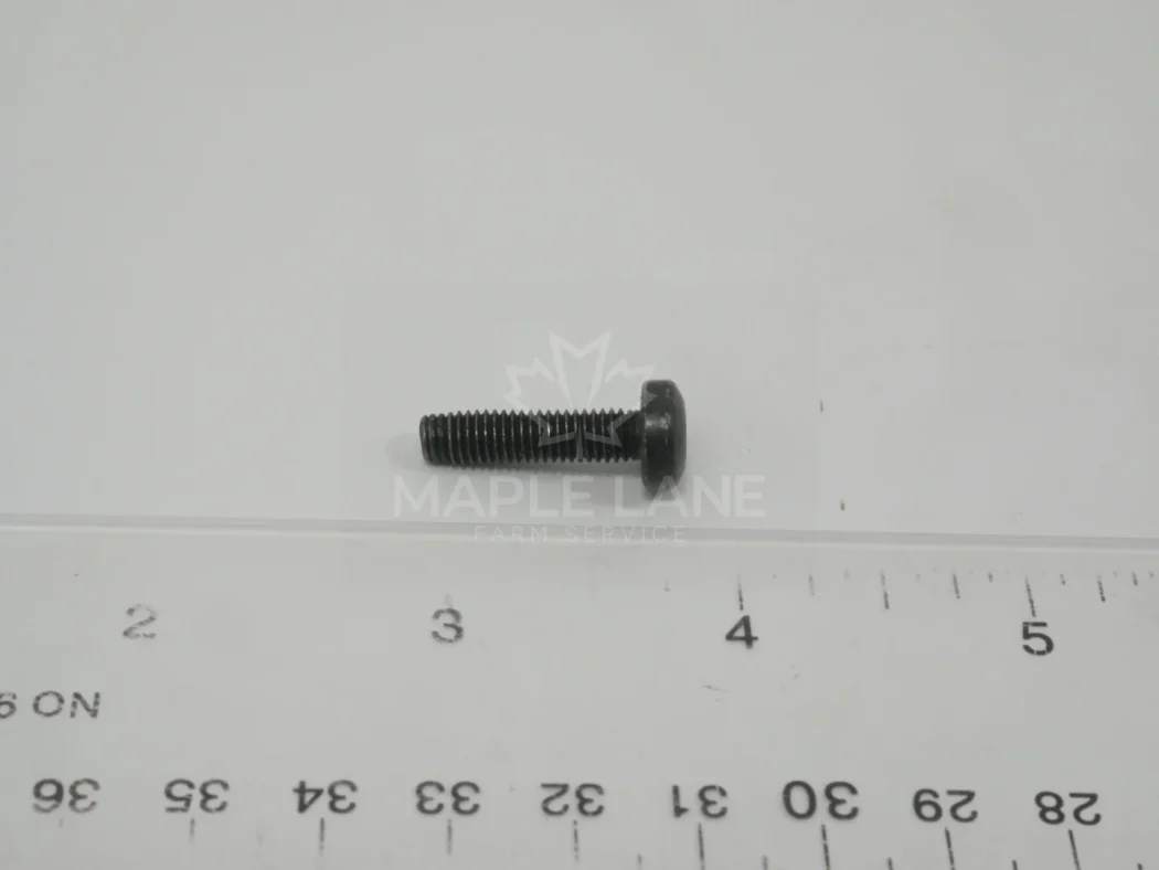 72492123 Screw