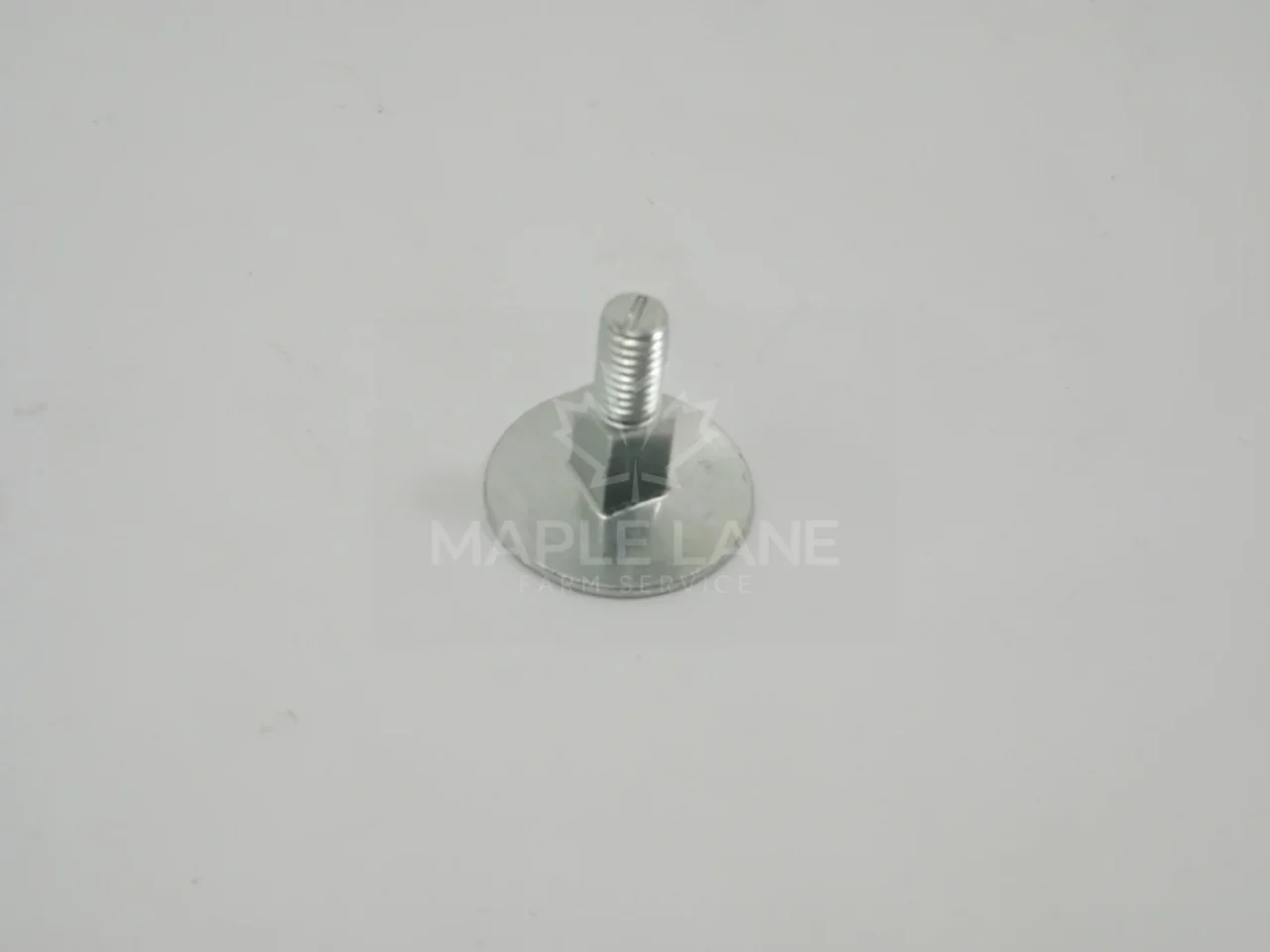 252176 Skid Shoe Bolt