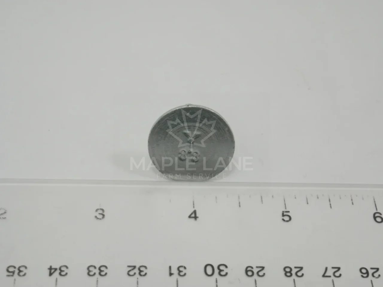 252176 Skid Shoe Bolt