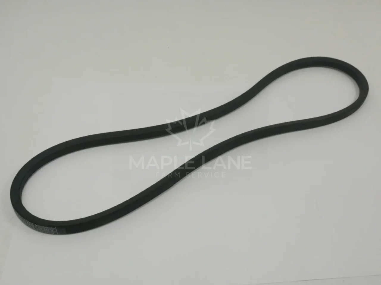 832599M1 Belt