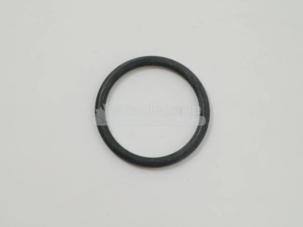 ACP1028890 O-Ring