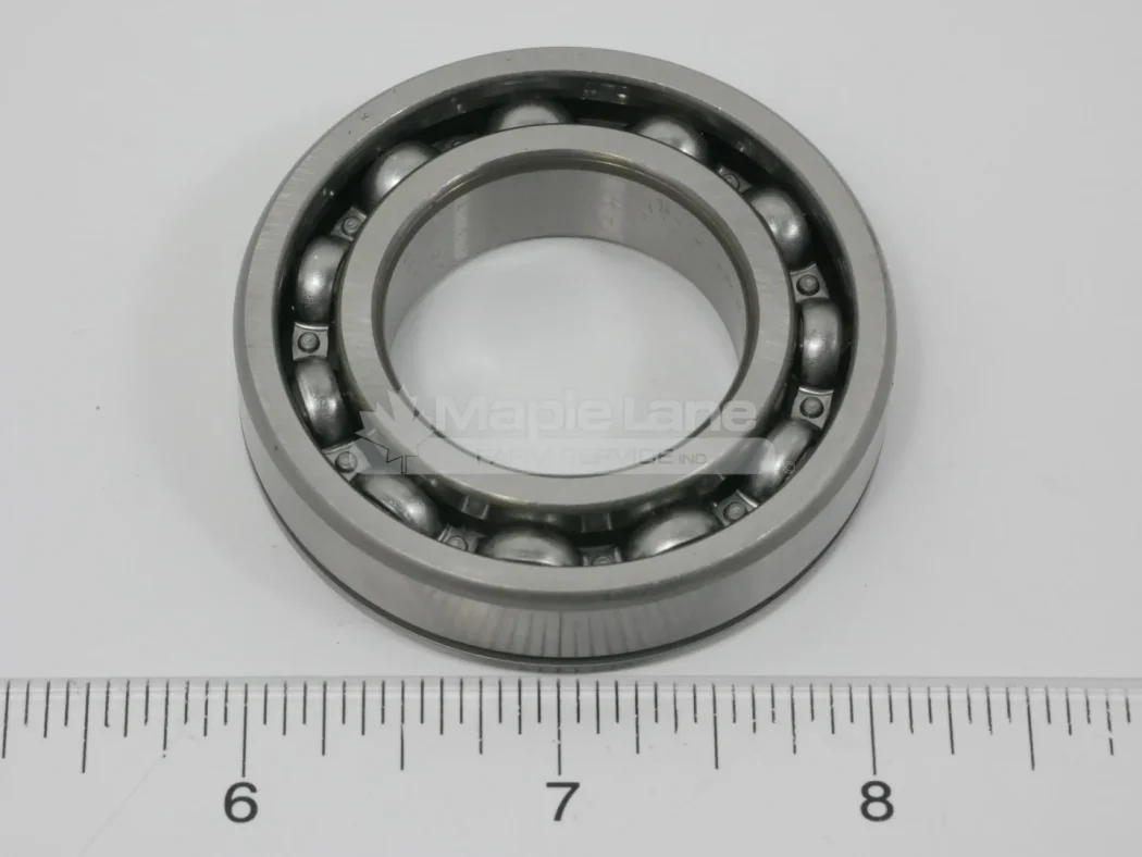 ACP1031380 6006N Bearing